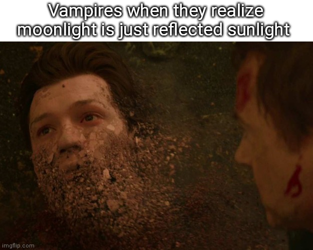 So That's Why They Disappeared | Vampires when they realize moonlight is just reflected sunlight | image tagged in spiderman getting thanos snapped | made w/ Imgflip meme maker