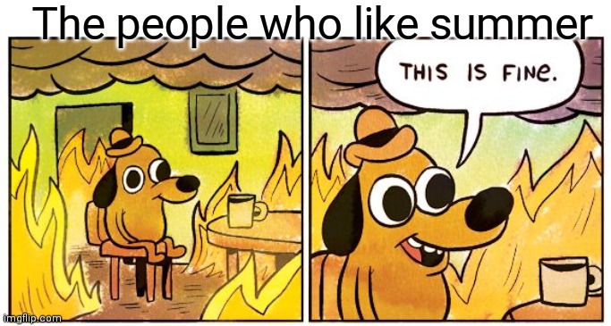 This Is Fine | The people who like summer | image tagged in memes,this is fine | made w/ Imgflip meme maker