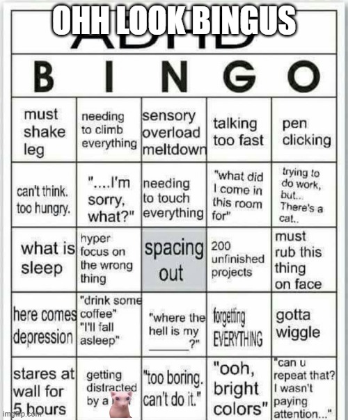 adhd bingo | OHH LOOK BINGUS | image tagged in adhd bingo | made w/ Imgflip meme maker