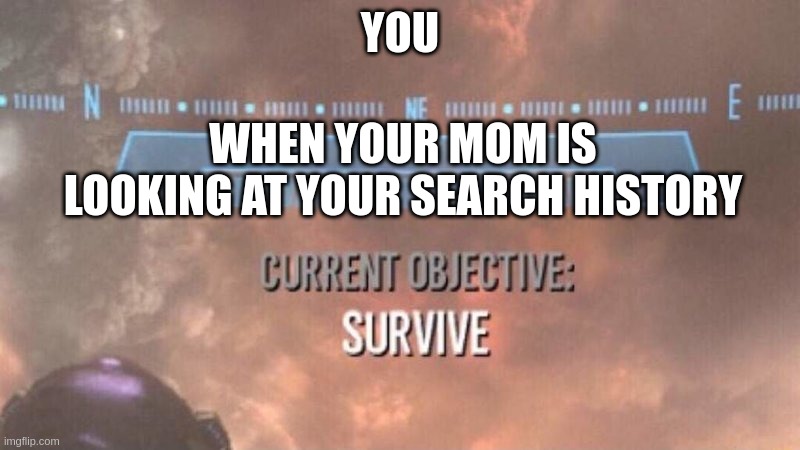 DAILY LIFE AS A TEENAGER | YOU; WHEN YOUR MOM IS LOOKING AT YOUR SEARCH HISTORY | image tagged in current objective survive | made w/ Imgflip meme maker