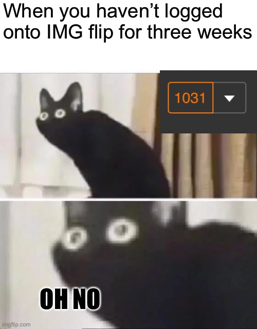 Oh No | When you haven’t logged onto IMG flip for three weeks; OH NO | image tagged in oh no black cat | made w/ Imgflip meme maker