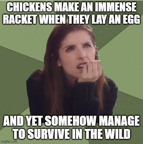 Philosophanna |  CHICKENS MAKE AN IMMENSE RACKET WHEN THEY LAY AN EGG; AND YET SOMEHOW MANAGE TO SURVIVE IN THE WILD | image tagged in philosophanna | made w/ Imgflip meme maker