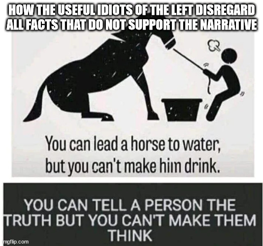 HOW THE USEFUL IDIOTS OF THE LEFT DISREGARD ALL FACTS THAT DO NOT SUPPORT THE NARRATIVE | made w/ Imgflip meme maker