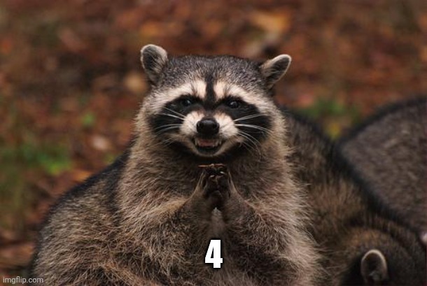 raccon | 4 | image tagged in raccon | made w/ Imgflip meme maker