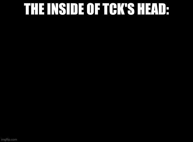 blank black | THE INSIDE OF TCK'S HEAD: | image tagged in blank black | made w/ Imgflip meme maker