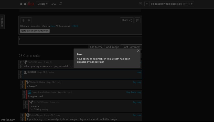 LGBTQ mods banned me from commenting just because i bullied hanz for posting | made w/ Imgflip meme maker