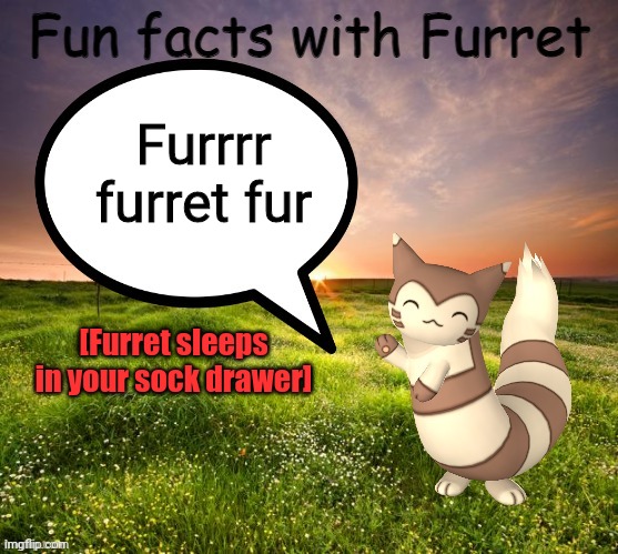 Uh oh... | Furrrr furret fur [Furret sleeps in your sock drawer] | image tagged in fun facts with furret,furret,sleeps,in your,sock drawer | made w/ Imgflip meme maker
