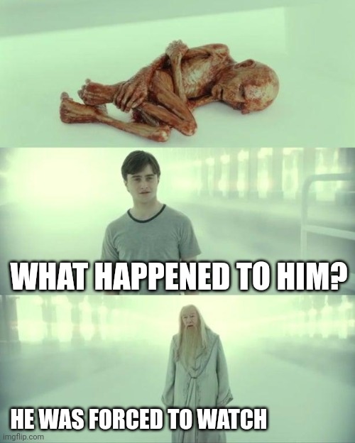 Finish the meme. | WHAT HAPPENED TO HIM? HE WAS FORCED TO WATCH | image tagged in dead baby voldemort / what happened to him | made w/ Imgflip meme maker