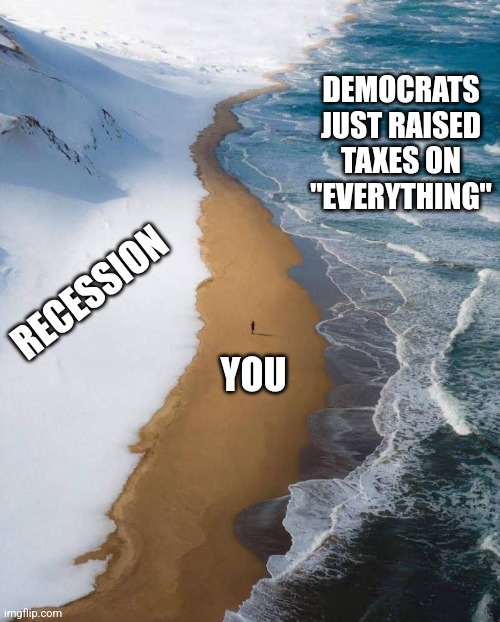 The odds | DEMOCRATS JUST RAISED TAXES ON "EVERYTHING"; RECESSION; YOU | image tagged in the odds | made w/ Imgflip meme maker