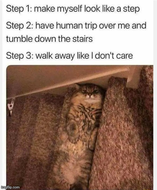 image tagged in funny memes | made w/ Imgflip meme maker