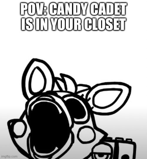 Screaming Mangle | POV: CANDY CADET IS IN YOUR CLOSET | image tagged in screaming mangle | made w/ Imgflip meme maker