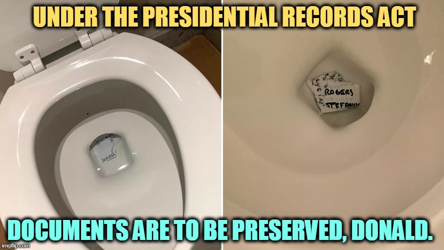 Uh oh, bad boy. | UNDER THE PRESIDENTIAL RECORDS ACT; DOCUMENTS ARE TO BE PRESERVED, DONALD. | image tagged in trump,papers,toilet,illegal | made w/ Imgflip meme maker