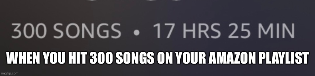  WHEN YOU HIT 300 SONGS ON YOUR AMAZON PLAYLIST | image tagged in music | made w/ Imgflip meme maker