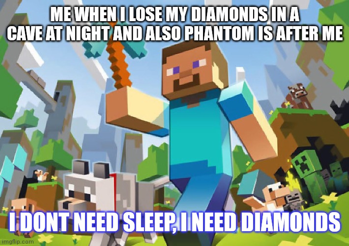 You may not rest now, GO FIND YOUR DIAMONDS! | ME WHEN I LOSE MY DIAMONDS IN A CAVE AT NIGHT AND ALSO PHANTOM IS AFTER ME; I DONT NEED SLEEP, I NEED DIAMONDS | image tagged in minecraft | made w/ Imgflip meme maker