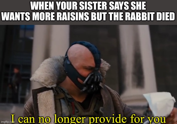 I can no longer live with my lie | WHEN YOUR SISTER SAYS SHE WANTS MORE RAISINS BUT THE RABBIT DIED; I can no longer provide for you | image tagged in i can no longer live with my lie | made w/ Imgflip meme maker