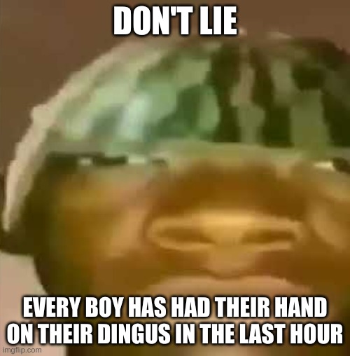 No shame because all guys do it. | DON'T LIE; EVERY BOY HAS HAD THEIR HAND ON THEIR DINGUS IN THE LAST HOUR | made w/ Imgflip meme maker