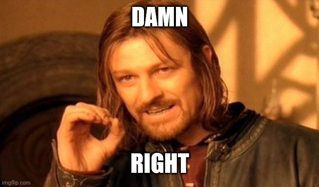 One Does Not Simply Meme | DAMN RIGHT | image tagged in memes,one does not simply | made w/ Imgflip meme maker