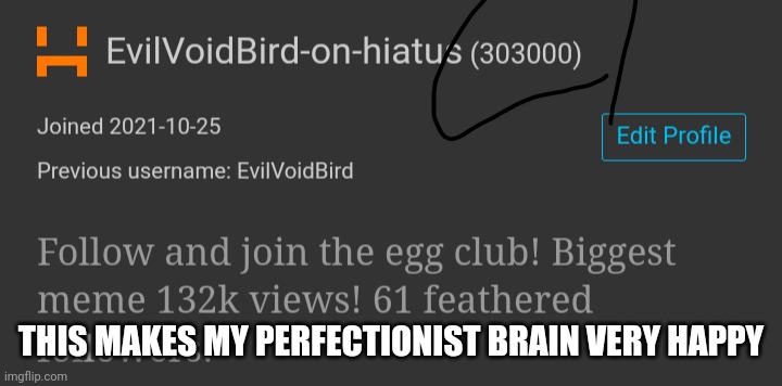 THIS MAKES MY PERFECTIONIST BRAIN VERY HAPPY | image tagged in tag | made w/ Imgflip meme maker