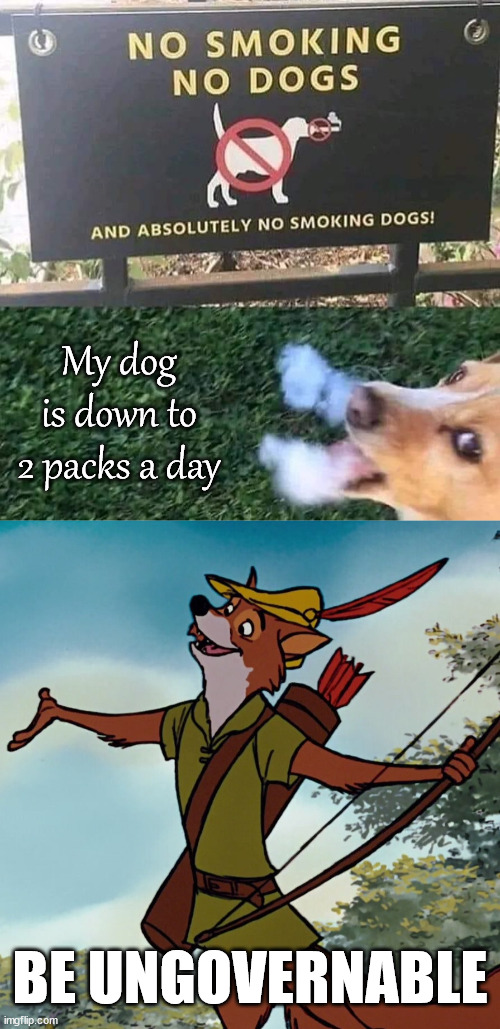 Smokin' | My dog is down to 2 packs a day; BE UNGOVERNABLE | image tagged in anarchist robin hood,smoking,funny dogs,ungovernable,funny signs | made w/ Imgflip meme maker