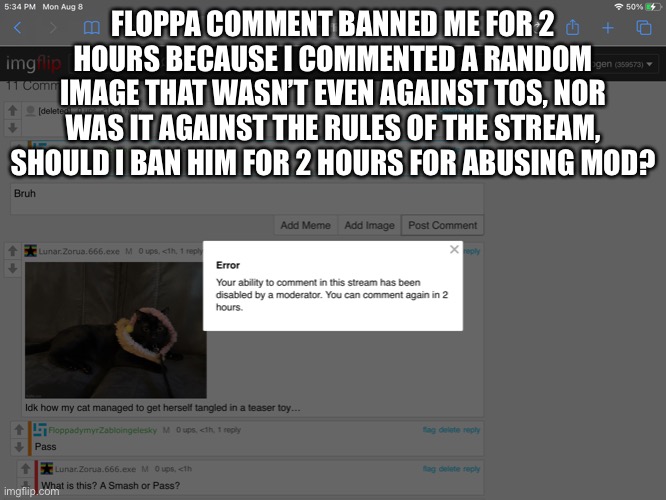 I know im a mod and i can unban myself but he abused his perms | FLOPPA COMMENT BANNED ME FOR 2 HOURS BECAUSE I COMMENTED A RANDOM IMAGE THAT WASN’T EVEN AGAINST TOS, NOR WAS IT AGAINST THE RULES OF THE STREAM, SHOULD I BAN HIM FOR 2 HOURS FOR ABUSING MOD? | made w/ Imgflip meme maker