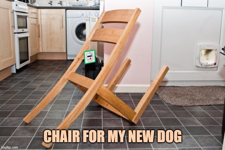 IKEA fail | CHAIR FOR MY NEW DOG | image tagged in ikea fail | made w/ Imgflip meme maker