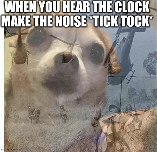 Relatable | WHEN YOU HEAR THE CLOCK MAKE THE NOISE *TICK TOCK* | image tagged in ptsd chihuahua | made w/ Imgflip meme maker