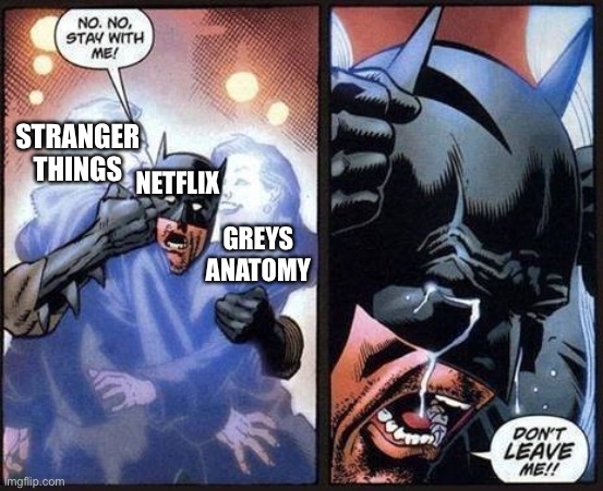I think I’m for seeing the future | STRANGER THINGS; NETFLIX; GREYS ANATOMY | image tagged in batman don't leave me,netflix,stranger things,anatomy | made w/ Imgflip meme maker