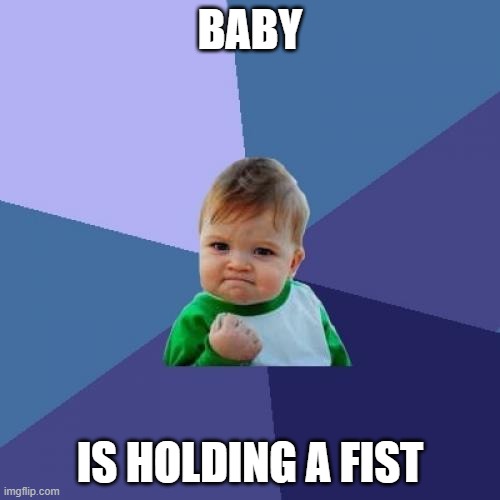 Ruined Meme #4 |  BABY; IS HOLDING A FIST | image tagged in memes,success kid | made w/ Imgflip meme maker