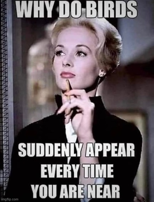 Tippi Hedren Birds and Carpenters | image tagged in tippi hedren,the birds,funny memes,the carpenters | made w/ Imgflip meme maker