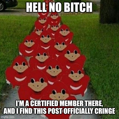 Ugandan knuckles army | HELL NO BITCH I’M A CERTIFIED MEMBER THERE, AND I FIND THIS POST OFFICIALLY CRINGE | image tagged in ugandan knuckles army | made w/ Imgflip meme maker