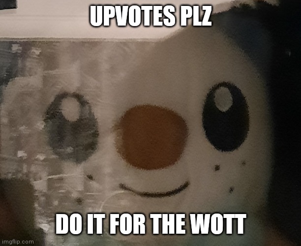 the wott | UPVOTES PLZ; DO IT FOR THE WOTT | image tagged in i see what you're doing,upvote begging,why are you reading the tags | made w/ Imgflip meme maker