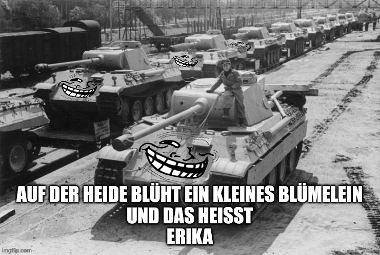 Troll Panther | AUF DER HEIDE BLÜHT EIN KLEINES BLÜMELEIN
UND DAS HEISST
ERIKA | image tagged in troll panther | made w/ Imgflip meme maker