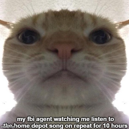 my fbi agent watching me | my fbi agent watching me listen to the home depot song on repeat for 10 hours | image tagged in staring cat/gusic | made w/ Imgflip meme maker