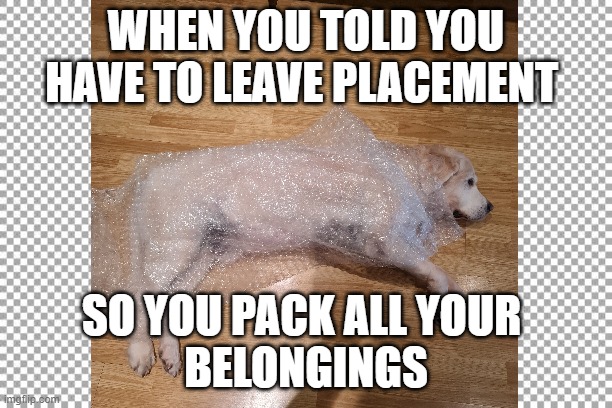 Pack and go | WHEN YOU TOLD YOU HAVE TO LEAVE PLACEMENT; SO YOU PACK ALL YOUR 
BELONGINGS | image tagged in memes,funny | made w/ Imgflip meme maker