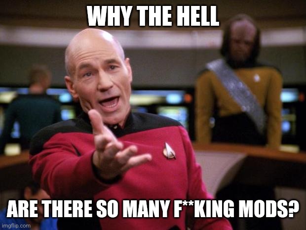 Patrick Stewart "why the hell..." | WHY THE HELL; ARE THERE SO MANY F**KING MODS? | image tagged in patrick stewart why the hell | made w/ Imgflip meme maker