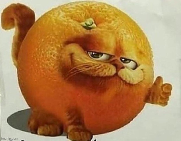 garfield orange | image tagged in garfield orange | made w/ Imgflip meme maker