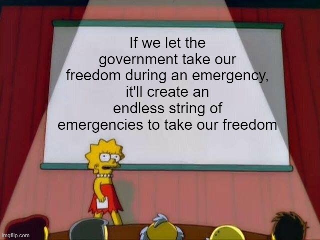 United We Stand |  If we let the government take our freedom during an emergency, it'll create an endless string of emergencies to take our freedom | image tagged in lisa simpson's presentation | made w/ Imgflip meme maker