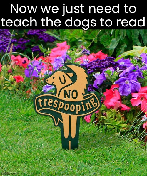 When the dogs love your front yard | Now we just need to teach the dogs to read | image tagged in funny memes,funny dog memes,funny signs | made w/ Imgflip meme maker