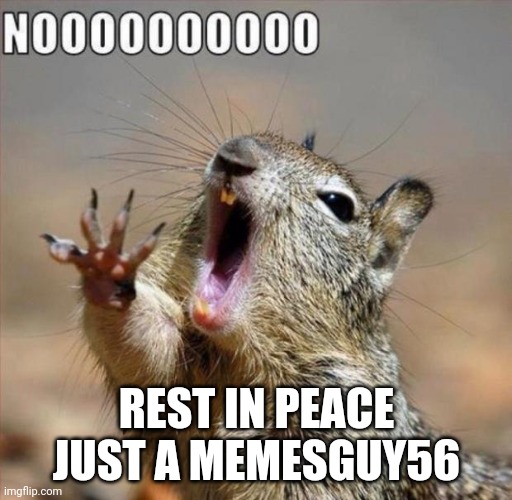 noooooooooooooooooooooooo | REST IN PEACE JUST A MEMESGUY56 | image tagged in noooooooooooooooooooooooo | made w/ Imgflip meme maker