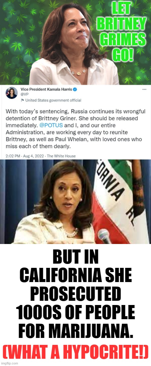 Any Opinions? | LET BRITNEY  GRIMES  GO! BUT IN CALIFORNIA SHE PROSECUTED 1000S OF PEOPLE FOR MARIJUANA. (WHAT A HYPOCRITE!) | image tagged in memes,politics,kamala harris,basketball,marijuana,courtroom | made w/ Imgflip meme maker