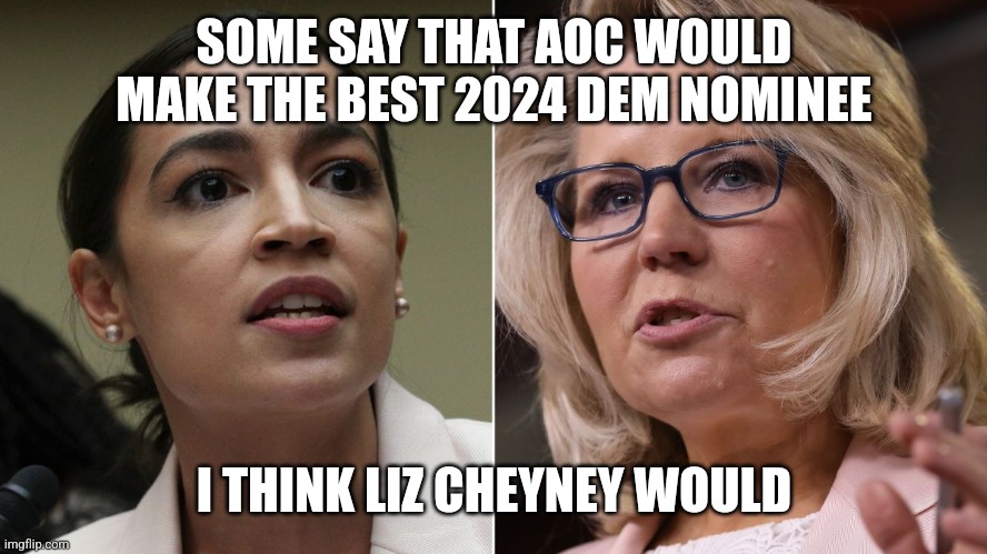 SOME SAY THAT AOC WOULD MAKE THE BEST 2024 DEM NOMINEE; I THINK LIZ CHEYNEY WOULD | made w/ Imgflip meme maker