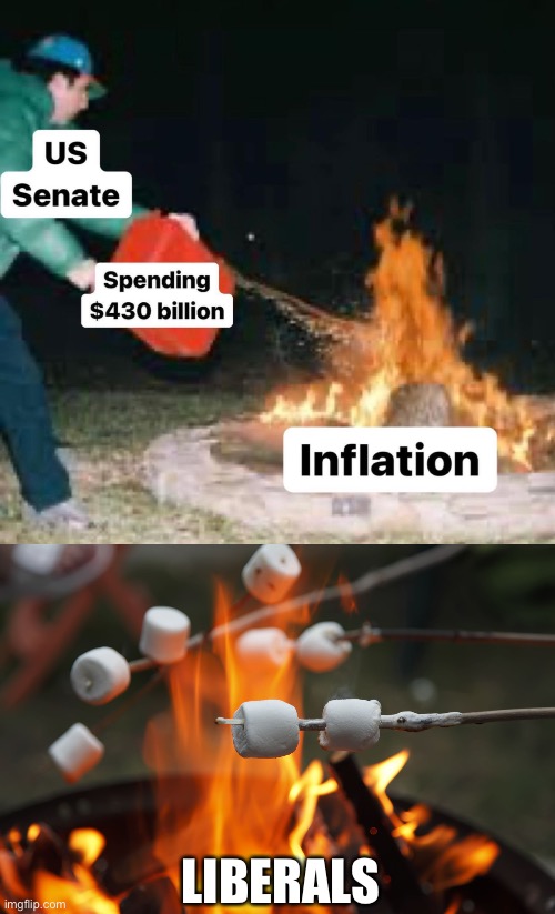 Getting Roasted | LIBERALS | image tagged in roasting marshmellows | made w/ Imgflip meme maker