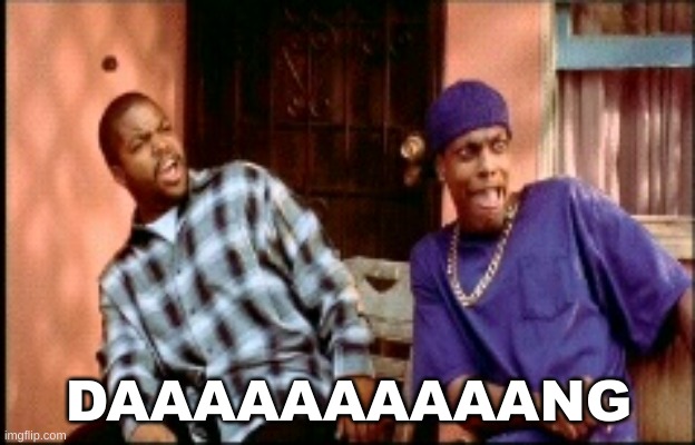 Damnnnn you got roasted | DAAAAAAAAAANG | image tagged in damnnnn you got roasted | made w/ Imgflip meme maker