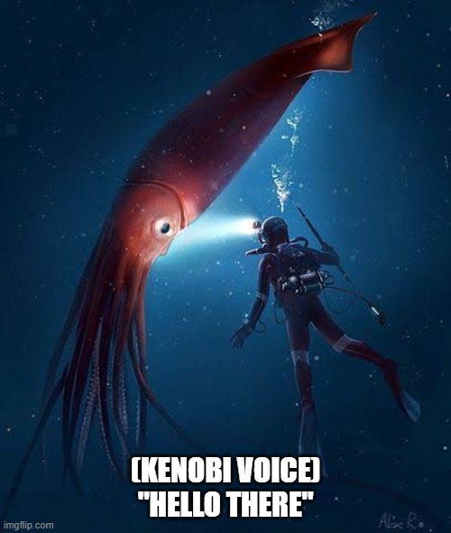"Hello there" | (KENOBI VOICE)
"HELLO THERE" | image tagged in giant squid | made w/ Imgflip meme maker