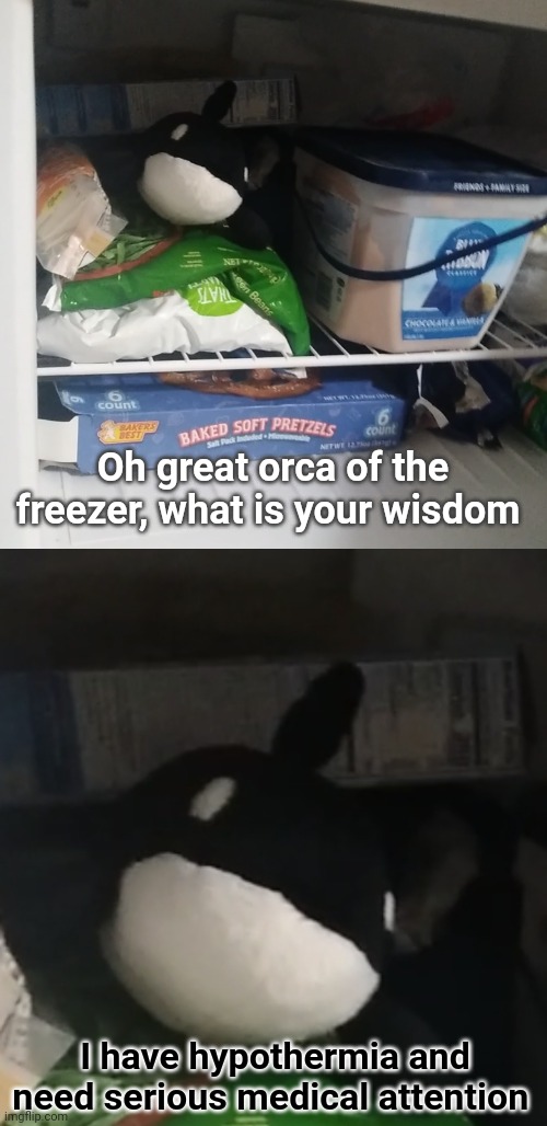 Oh great orca of the freezer, what is your wisdom; I have hypothermia and need serious medical attention | made w/ Imgflip meme maker