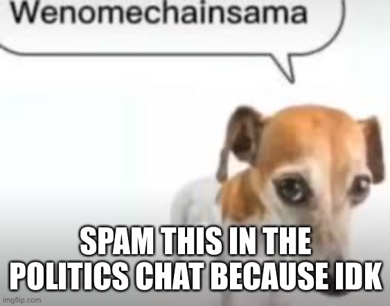 Yes | SPAM THIS IN THE POLITICS CHAT BECAUSE IDK | image tagged in wenimechainsama | made w/ Imgflip meme maker