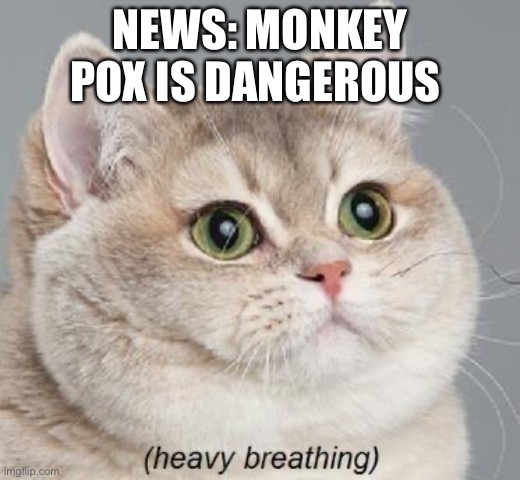 Not again |  NEWS: MONKEY POX IS DANGEROUS | image tagged in memes,heavy breathing cat,stress | made w/ Imgflip meme maker