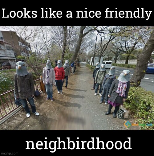 Looks like a nice friendly; neighbirdhood | image tagged in funny memes,dad jokes,eyeroll | made w/ Imgflip meme maker