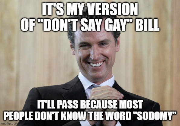 Scheming Gavin Newsom  | IT'S MY VERSION OF "DON'T SAY GAY" BILL IT'LL PASS BECAUSE MOST PEOPLE DON'T KNOW THE WORD "SODOMY" | image tagged in scheming gavin newsom | made w/ Imgflip meme maker