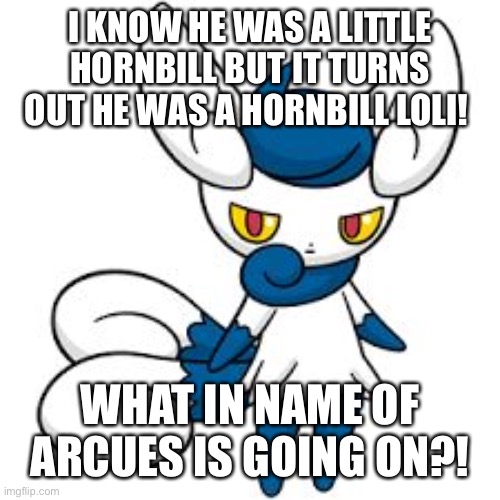 Meowstic | I KNOW HE WAS A LITTLE HORNBILL BUT IT TURNS OUT HE WAS A HORNBILL LOLI! WHAT IN NAME OF ARCUES IS GOING ON?! | image tagged in meowstic | made w/ Imgflip meme maker